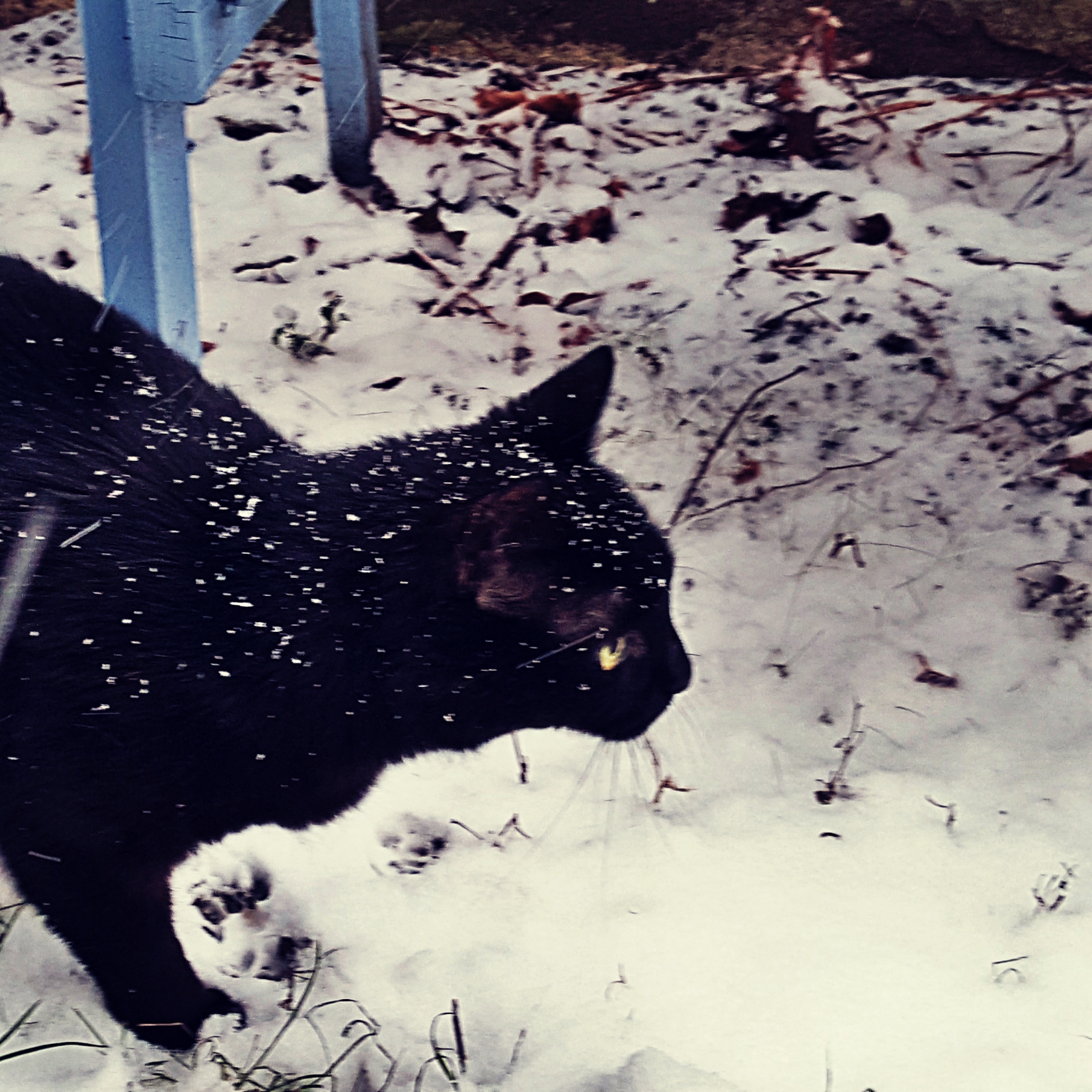 20181215_083955_20181215174823215